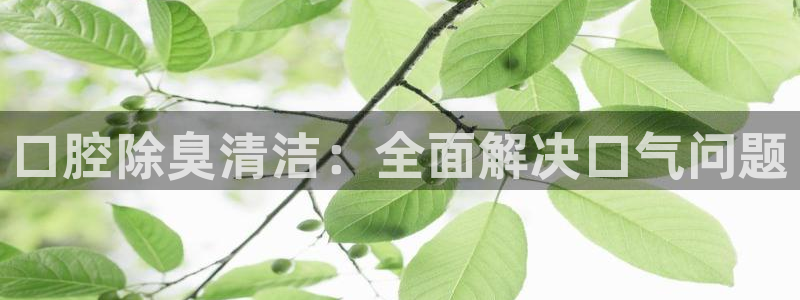 尊龙体育正规么：口腔除臭清洁：全面解决口气问题