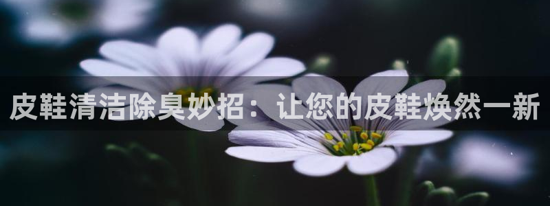 尊龙凯时只输不赢：皮鞋清洁除臭妙招：让您的皮鞋焕然一新