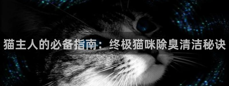 尊龙官网免费下载：猫主人的必备指南：终极猫咪除臭清洁秘诀