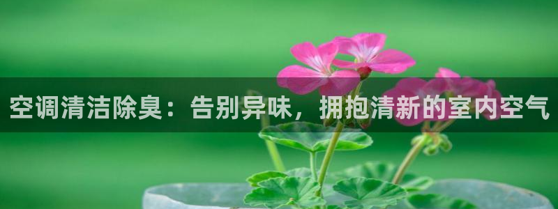 尊龙凯时人生就是博官网登录：空调清洁除臭：告别异味，拥抱