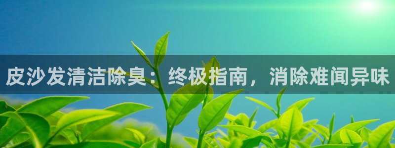 尊龙凯时 - 人生就是搏手机登录：皮沙发清洁除臭：终极指