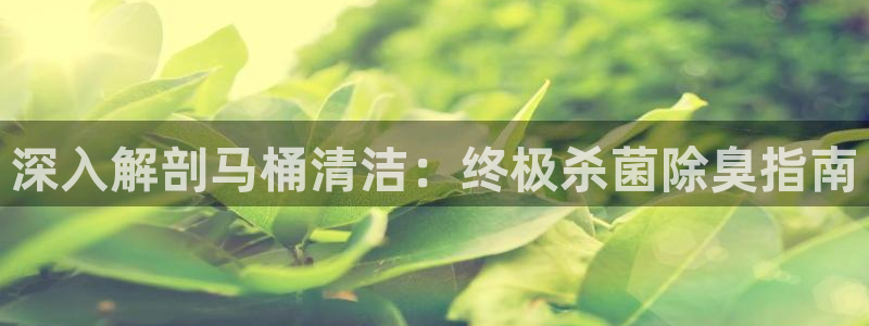 尊龙z6网址：深入解剖马桶清洁：终极杀菌除臭指南