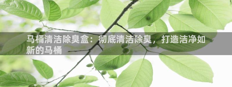 尊龙2021年最新消息：马桶清洁除臭盒：彻底清洁除臭，打