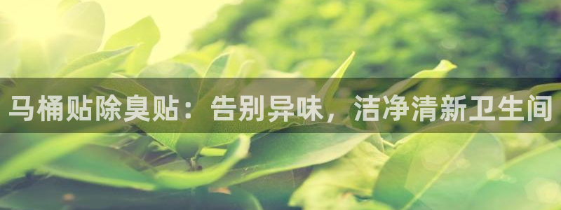 尊龙平台登录：马桶贴除臭贴：告别异味，洁净清新卫生间