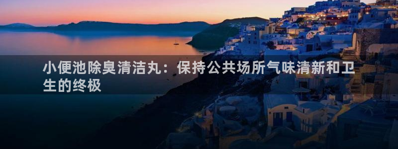 尊龙d88平台：小便池除臭清洁丸：保持公共场所气味清新和