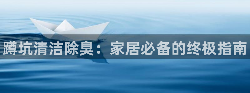 凯时官网的售后服务：蹲坑清洁除臭：家居必备的终极指南