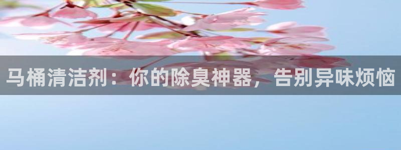 尊龙新版登录网址下载：马桶清洁剂：你的除臭神器，告别异味