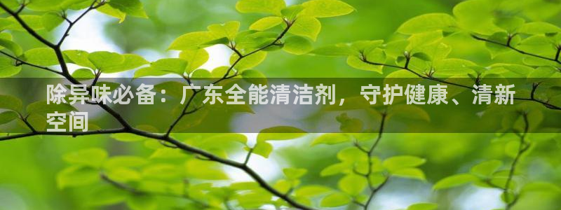 尊龙凯时官方网页：除异味必备：广东全能清洁剂，守护健康、