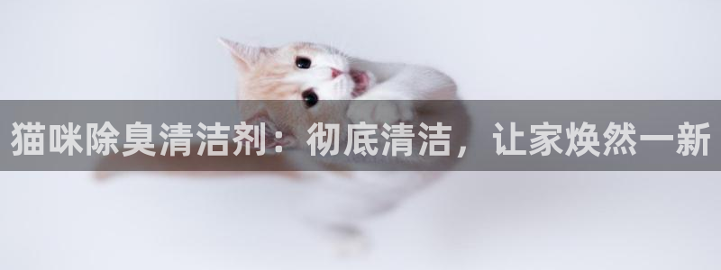 尊龙凯时用户名m：猫咪除臭清洁剂：彻底清洁，让家焕然一新