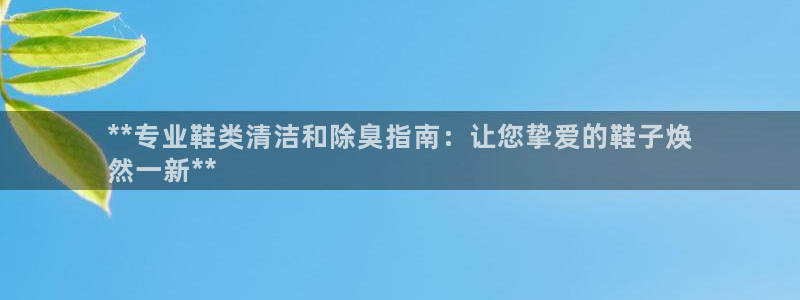 最新凯时官网网址：**专业鞋类清洁和除臭指南：让您挚爱的